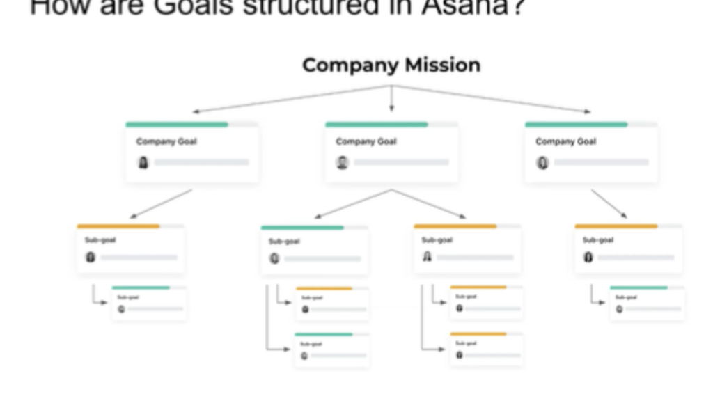 Asana case study